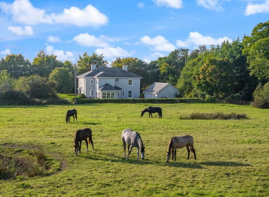 Leafy Lodge, Mayfield, Claremorris, F12D7W1