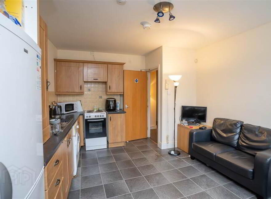 3 Bedroom Apartment, 46b Agincourt Avenue, Queens Quarter, Belfast, BT7 1QU