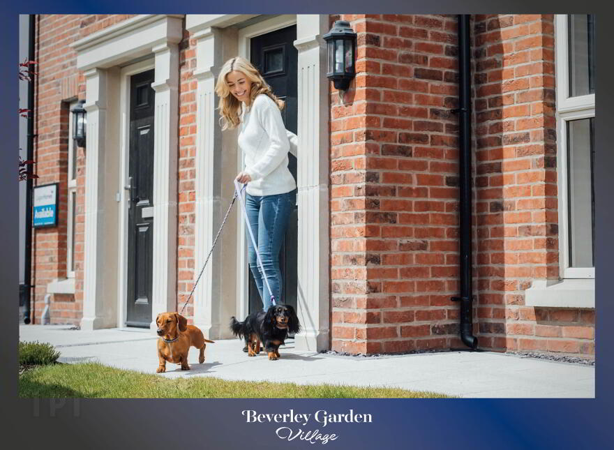 The Ilchester, Beverley Garden Village, Bangor Road, Newtownards, BT23 7JL