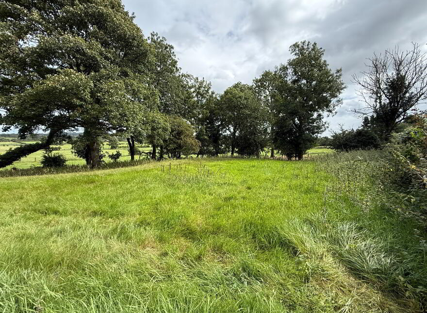 278 Lisnevenagh Road, Antrim, BT41 2JL