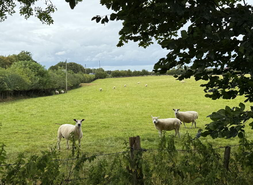 278 Lisnevenagh Road, Antrim, BT41 2JL