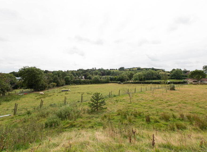 93 Dromore Road, Ballynahinch, BT24 8HU