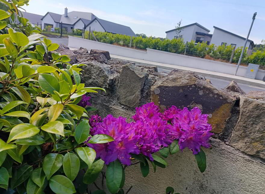 2 Berryfields, Ferns,Wexford, Y21KX40