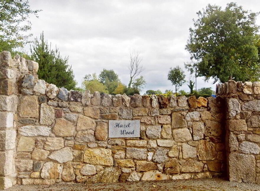 Tomlane, Oylegate, Y21KP80