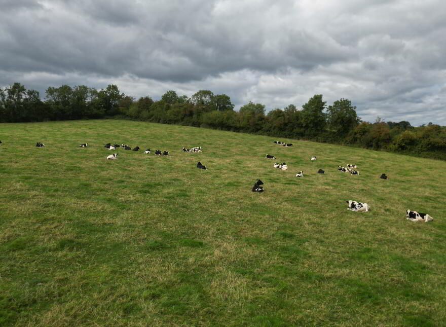 Roughan Road, Stewartstown