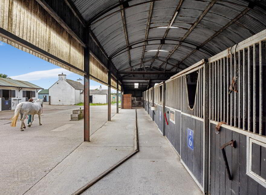 Heathview Equestrian, 60a Upper Gransha Road, Newtownards, BT21 0LZ