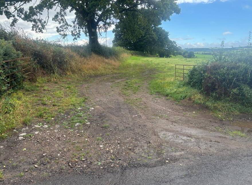Loughadain Road, Poyntzpass