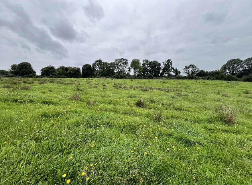 Kilcommadan, Aughrim, Ballinasloe, H53V962