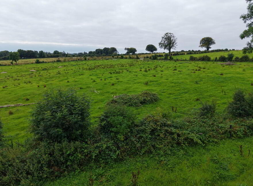 Kilcommadan, Aughrim, Ballinasloe, H53V962