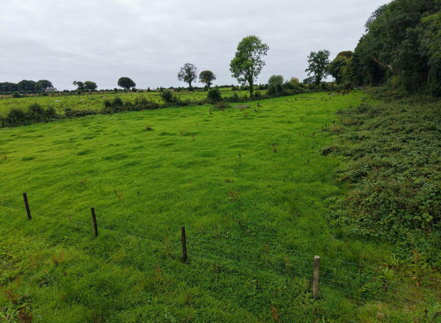 Kilcommadan, Aughrim, Ballinasloe, H53V962