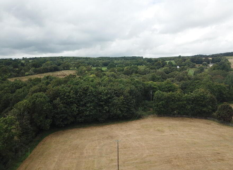 Maple Lodge, Kilcullen, Thomastown, R95