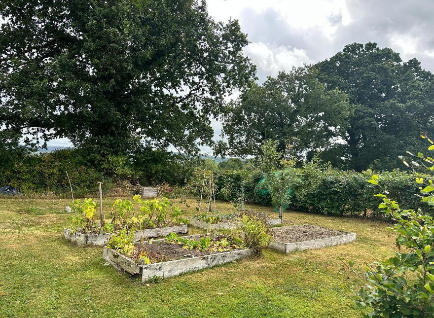 Maple Lodge, Kilcullen, Thomastown, R95