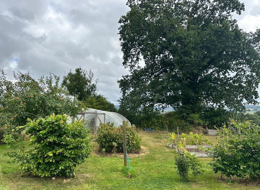 Maple Lodge, Kilcullen, Thomastown, R95