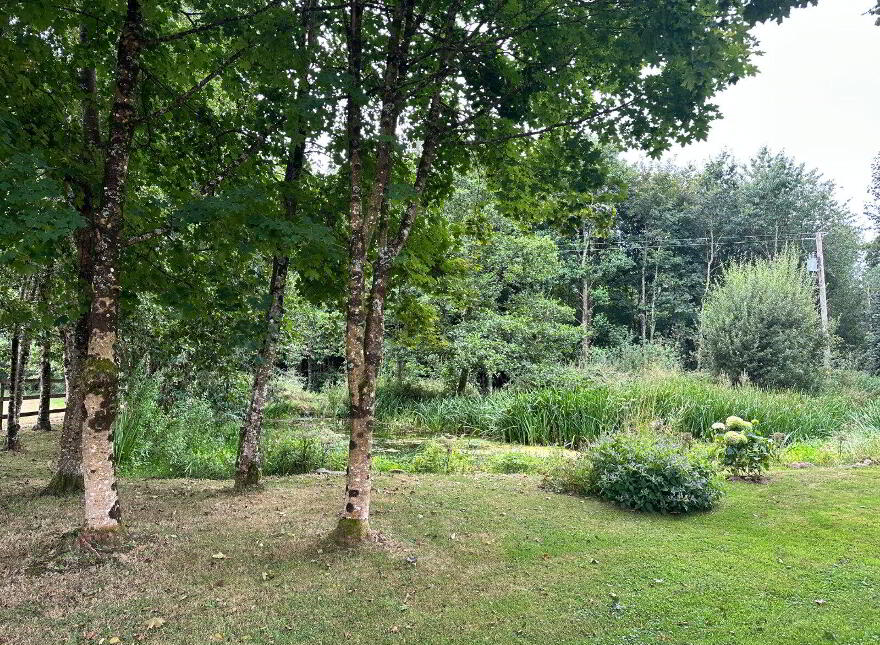 Maple Lodge, Kilcullen, Thomastown, R95