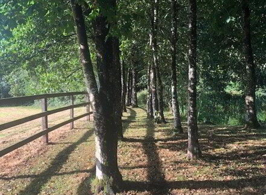 Maple Lodge, Kilcullen, Thomastown, R95