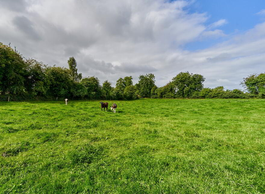 The Paddock Moygrehan Lower, Athboy, C15P2N3