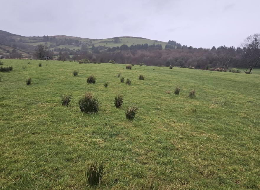 Lands At Glen Road, Tempo, BT94 3AB photo