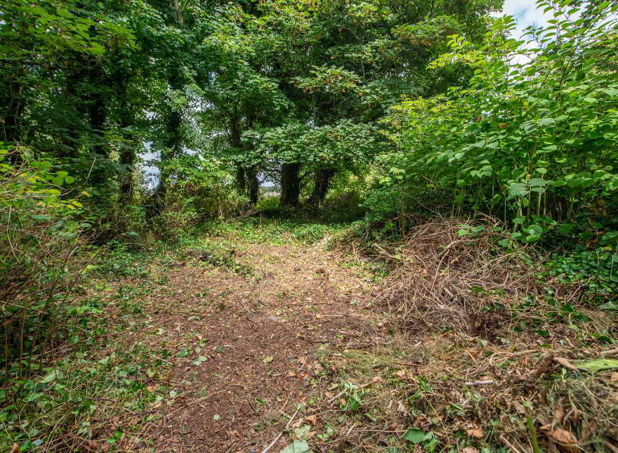 Kilfoyle, Greencastle Road, Moville, F93E64X