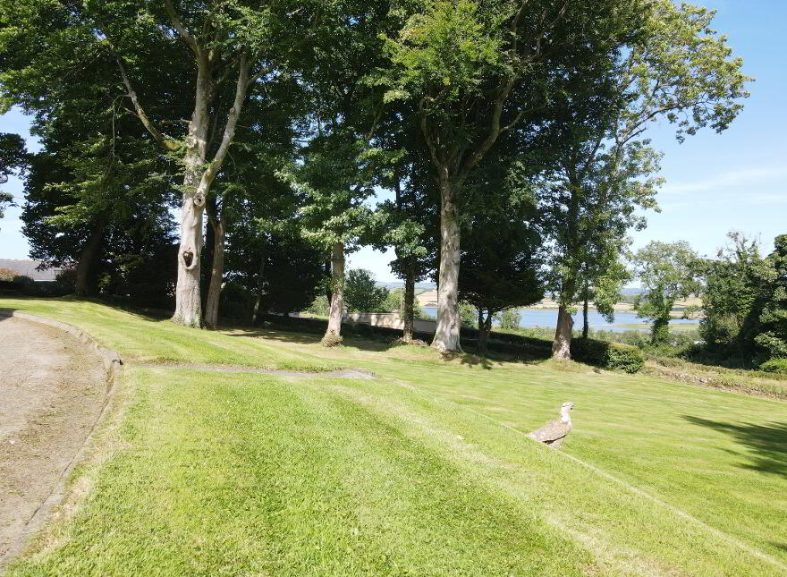 Drumbuoy, Newtowncunningham, Lifford, F93CH6E