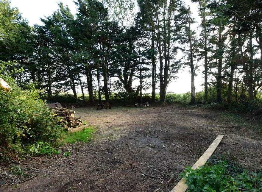 C House, Outbuildings Set On Six Acres, 10 Kilbright Road, Carrowdore, BT22 2HQ
