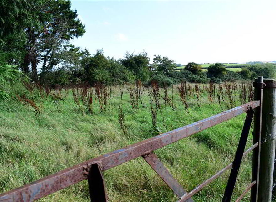 C House, Outbuildings Set On Six Acres, 10 Kilbright Road, Carrowdore, BT22 2HQ