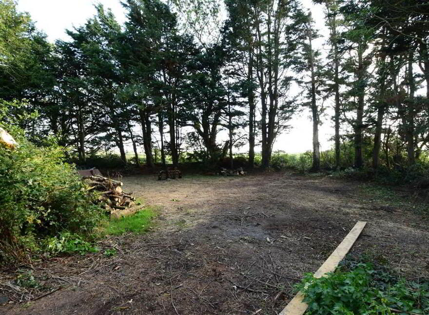 C House, Outbuildings Set On Six Acres, 10 Kilbright Road, Carrowdore, BT22 2HQ