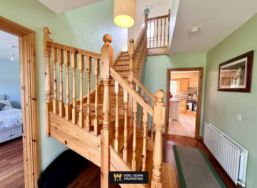 The Derries, Ballintra, F94AT18