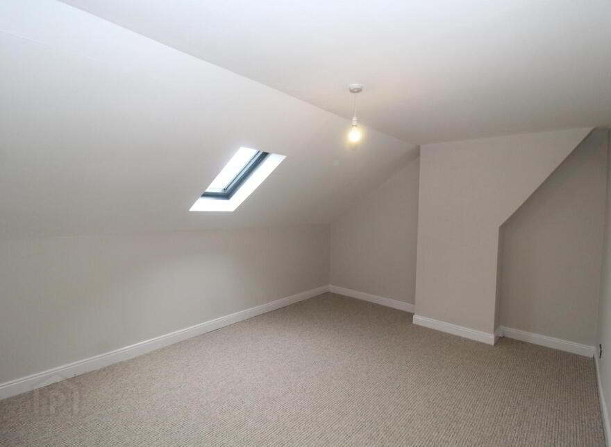 21 Beatrice Road, Bangor, BT20 5DG