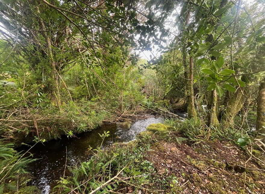 Tooreen, Glengarriff, West, P75XX00