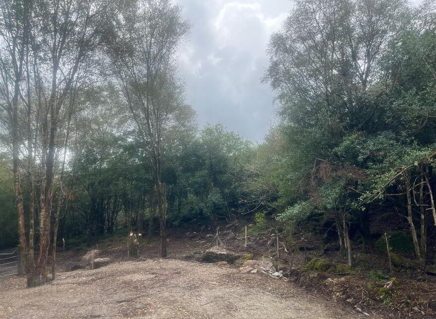 Tooreen, Glengarriff, West, P75XX00