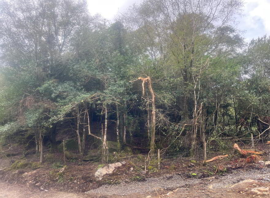 Tooreen, Glengarriff
