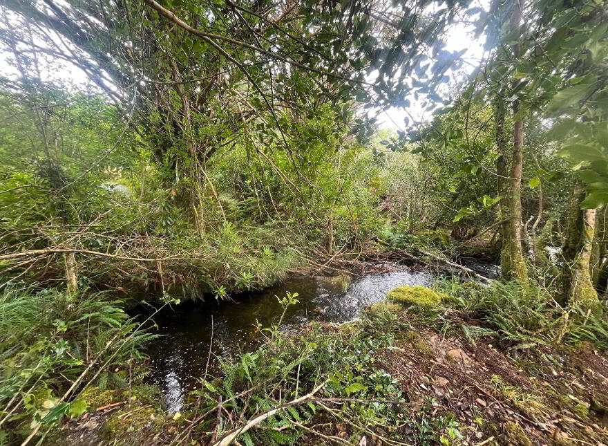 Tooreen, Glengarriff