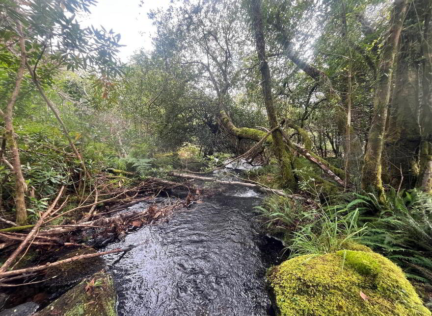 Tooreen, Glengarriff