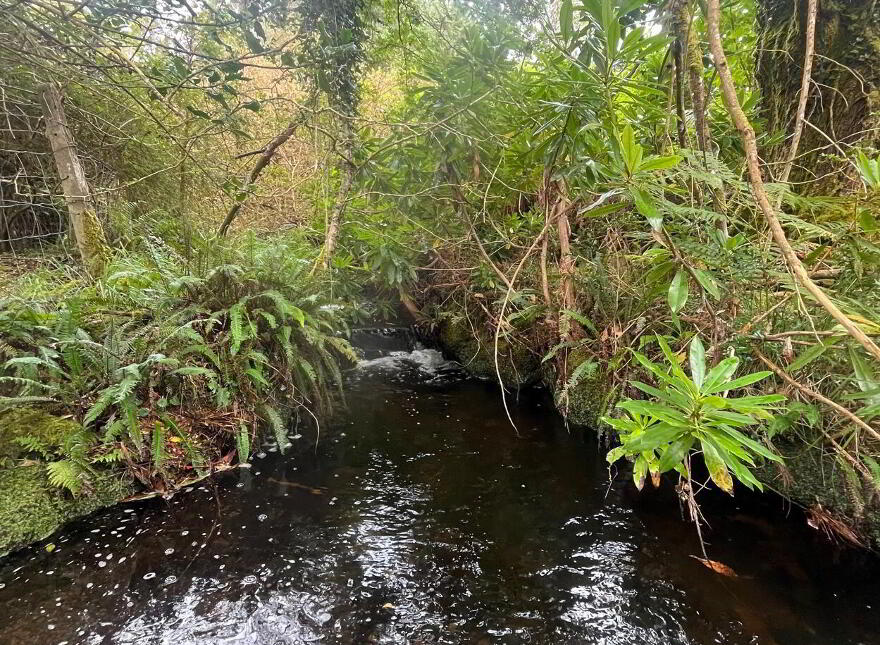 Tooreen, Glengarriff