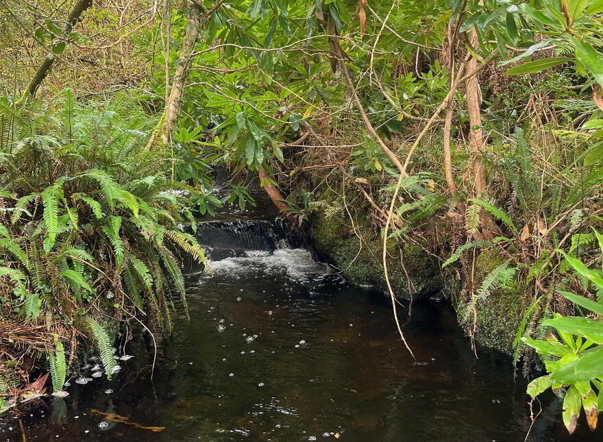 Tooreen, Glengarriff