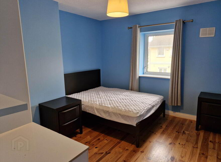 14 Shannon Weir, The Quay, Athlone, N37W658