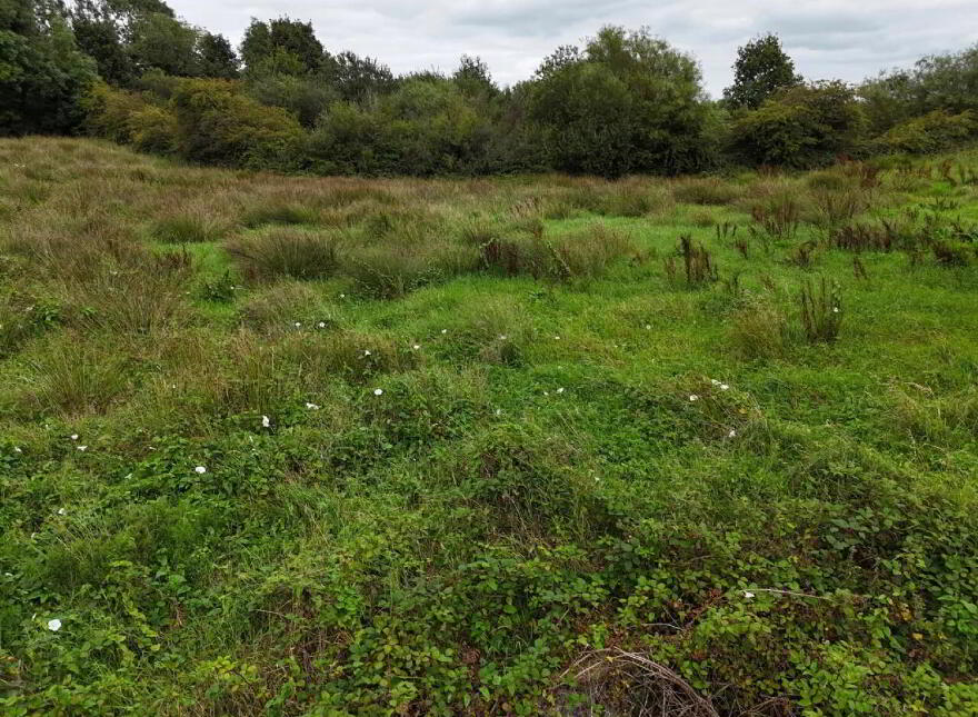 Shanaghmoyle, Knock