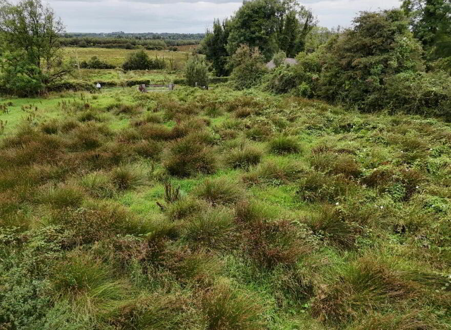 Shanaghmoyle, Knock