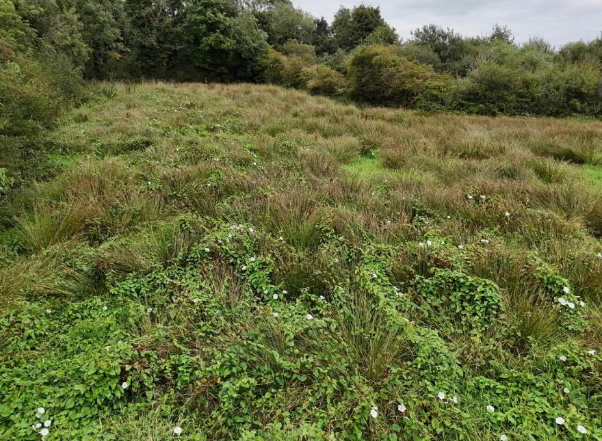 Shanaghmoyle, Knock