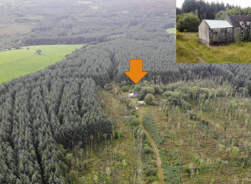 Haremount, Kilmichael, Macroom, P12H599 photo