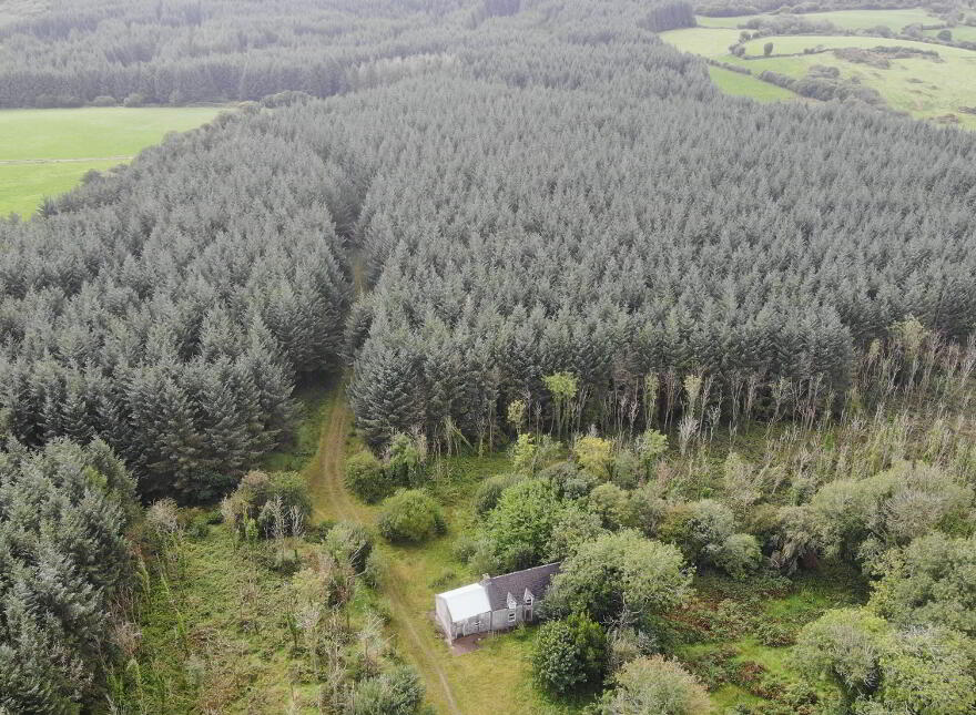 Haremount, Kilmichael, Macroom, P12H599