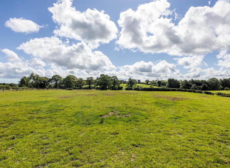 7 Riverdale Lane, Saintfield, Ballynahinch, BT24 7JG