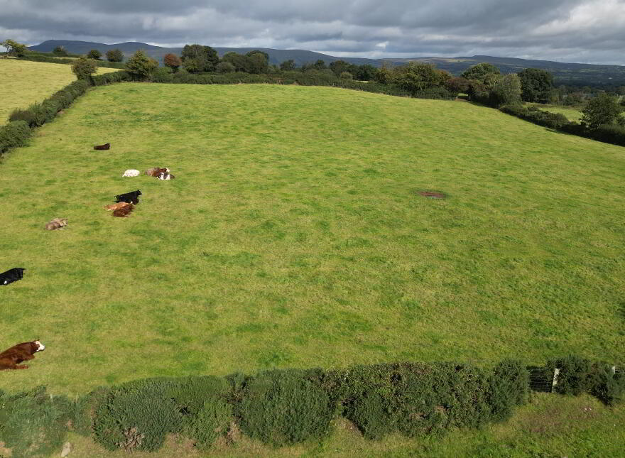 Brackaghlislea Road.., Draperstown, BT45 5QT