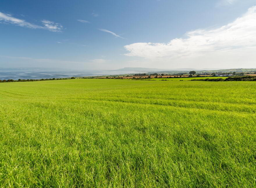 Land At Craigback Road, Eglinton