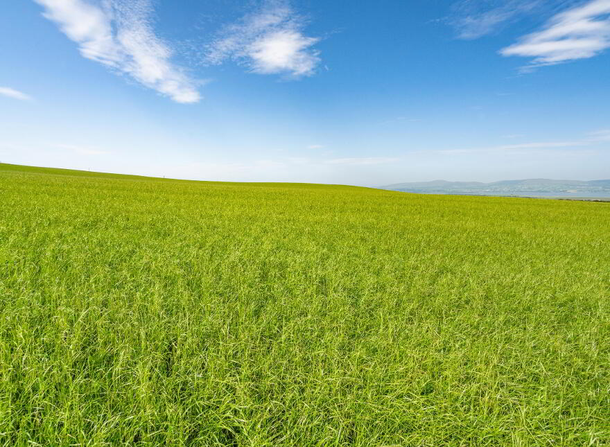 Land At Craigback Road, Eglinton