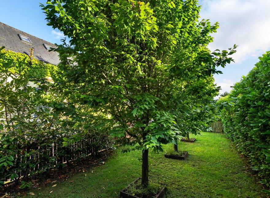 Riverside Lodge, Scurlockstown, Trim, C15FK31