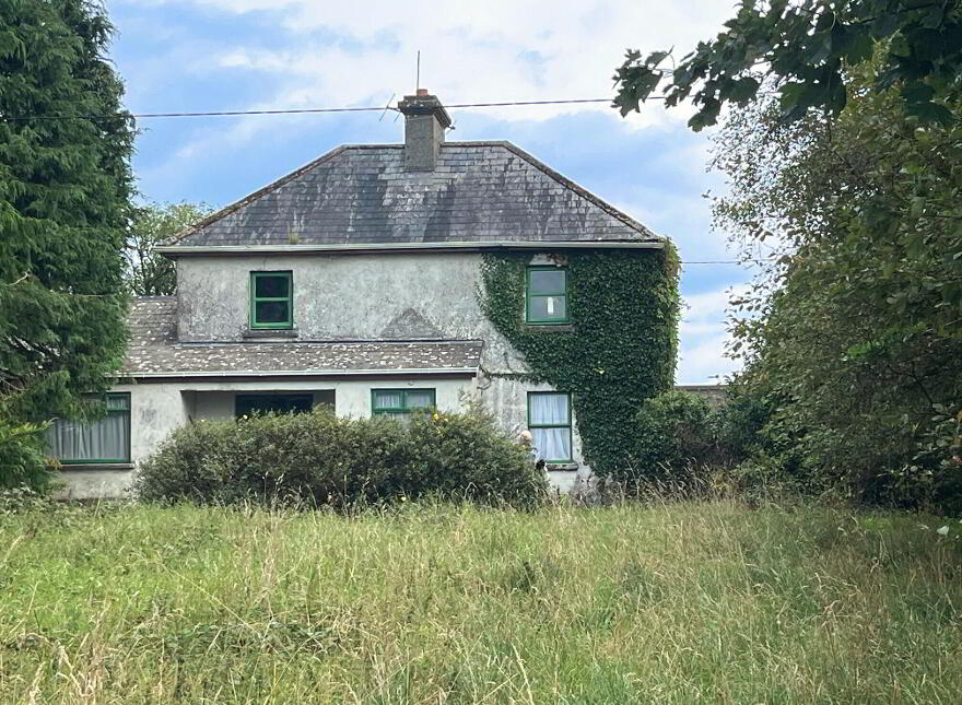 Lehinch Demesne, Hollymount