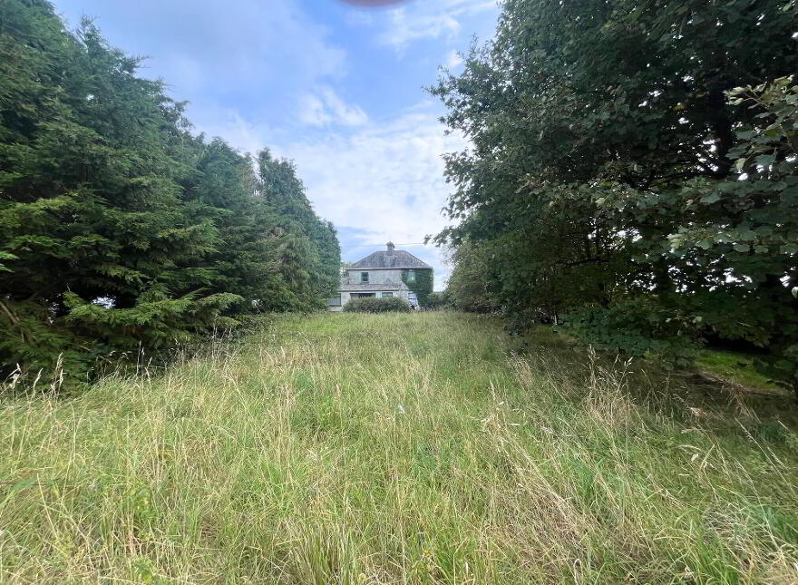 Lehinch Demesne, Hollymount