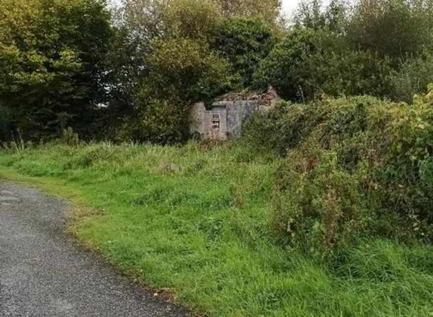 Tamlaght More, Mohill