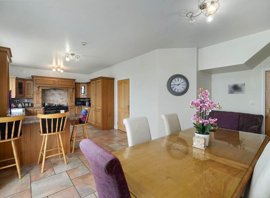 Reynoldstown House, Ashbourne, A42CV44